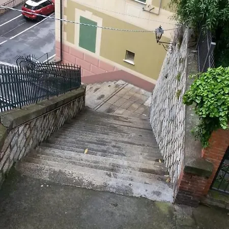 Casa Di Mya Citra 010007-lt-0318 *