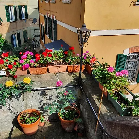Apartment Casa Di Mya Citra 010007-lt-0318 Camogli