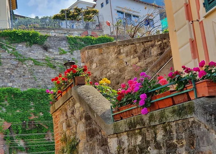 Casa Di Mya Citra 010007-lt-0318 Lägenhet *